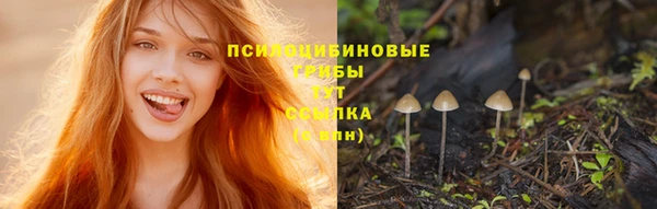 прущая мука Богданович
