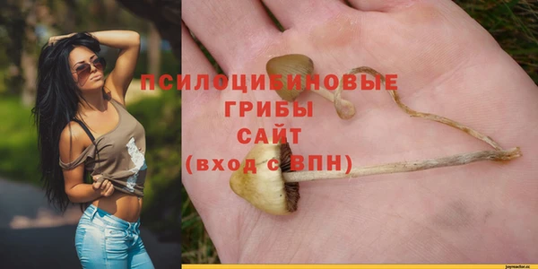 СК Богородицк