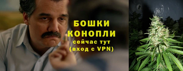 PSILOCYBIN Богородск