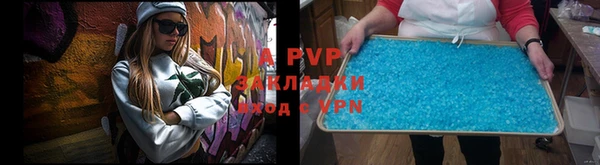 PSILOCYBIN Богородск