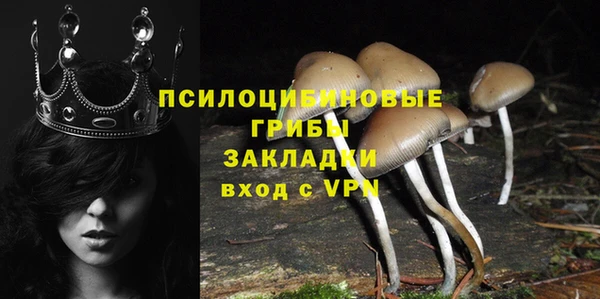 PSILOCYBIN Богородск