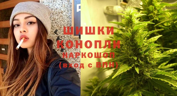 прущая мука Богданович