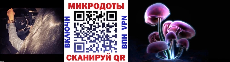 Галлюциногенные грибы прущие грибы  магазин продажи наркотиков  Бобров 